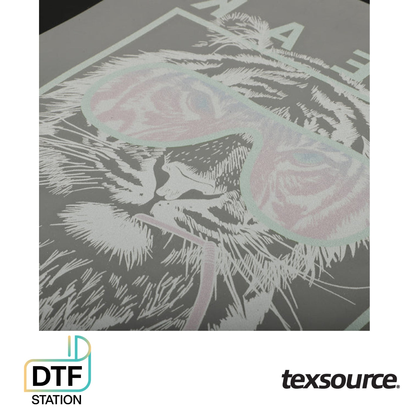 DTF Station Transfer Powder - White | Texsource